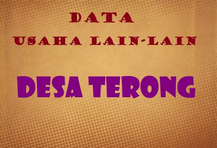 DATA USAHA LAIN-LAIN DESA TERONG