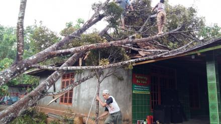 Hujan Disertai Angin di Desa Terong Menimbulkan Beberapa Kerusakan