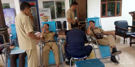 Donor Darah Di Kalurahan Terong 