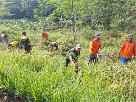 Penanaman Pohon oleh FPRB Kalurahan Terong